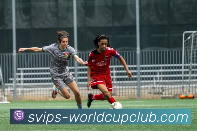 世界杯买球发展历程